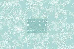 BOWLAND RISE COVER