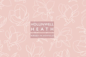 Hollinwell Heath web cover