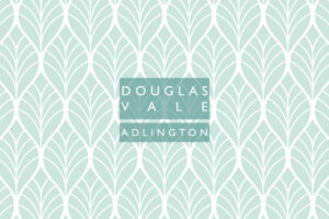 Douglas Vale cover image web