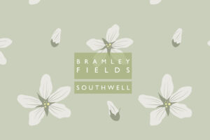 Bramley Fields cover image web